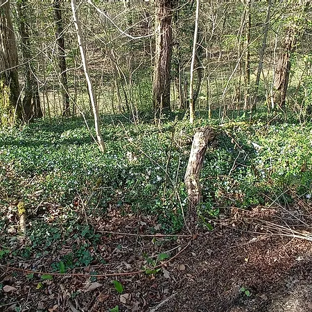 Santorini De Durbuy * Barvaux-sur-Ourthe