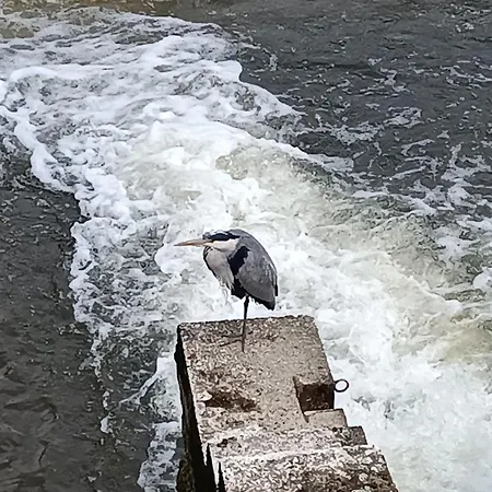 Santorini De Durbuy *
